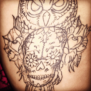 Owl and sugar skull. In progress! 😄