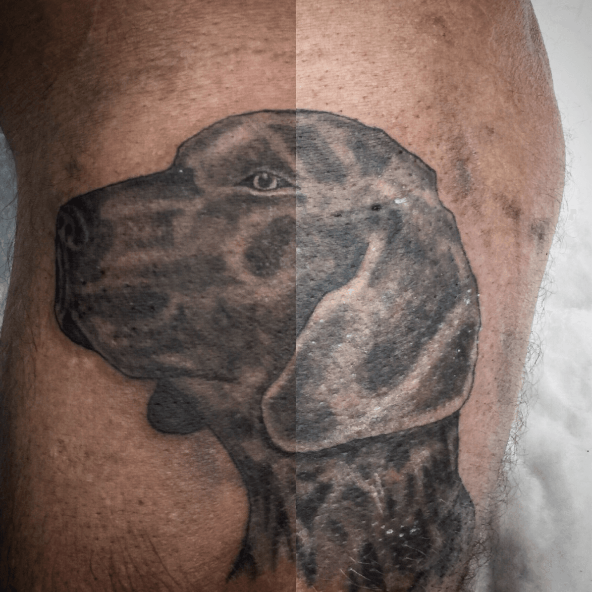 Discover more than 67 german shorthaired pointer tattoo super hot   ineteachers