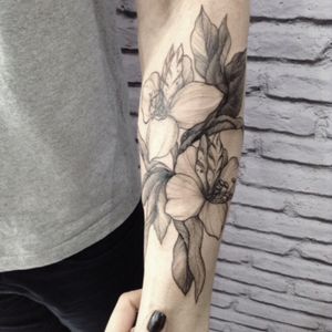 Flowers | @babirusa.tattoo #blackwork #blackworktattoo #babirusatattoostudio #babirusatattoo #work #art #flower #details #br #astromelias #blackworksubmissions 