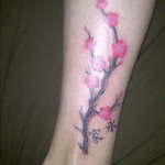 My family tree represented by a cherry blossom branch