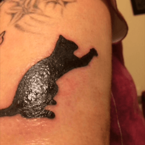 The last of the 3 cats. Done by JSin Torres of Main Street Tattooing in Templeton, Ca.