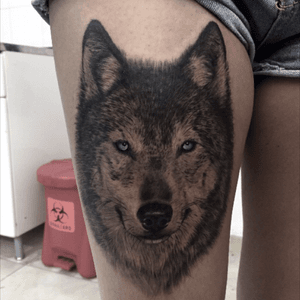 #wolves #wolf #realistic #blackandgrey 