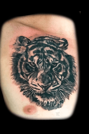 @gabrieldiasm #realism #tiger #tigertattoo #tatuadoresbrasileiros