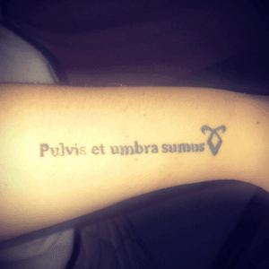 This is a quote and symbol from my favourite book series ever. Its in latin in english it says 'We Are Dust And Shadows.' 