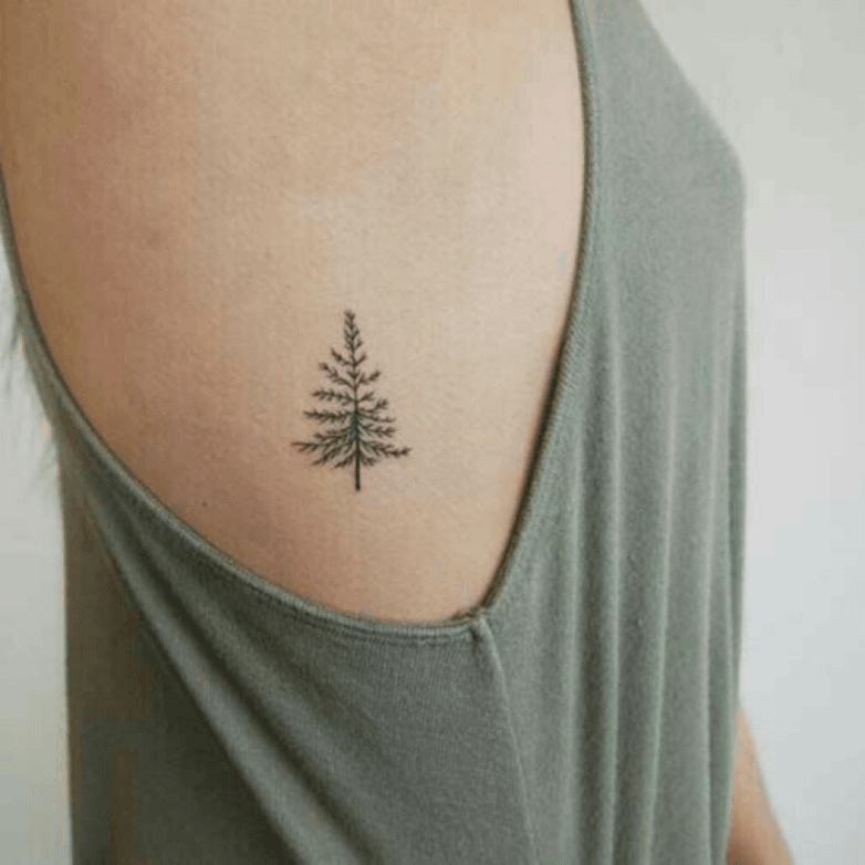 Black Spruce Tree  BW  Tree tattoo Pine tattoo Tree tattoo designs