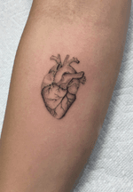#fineline #blackandgrey #heart #anatomicalheart #tattoooftheday 