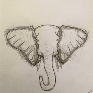 #oldschool #drawing #blackAndWhite #elephant #animal 