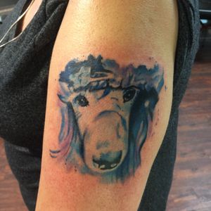 Beautiful watercolor poodle will be the focus of my sleeve! #Gemcitytattoo #MistyDawnBrothers #watercolortattoo 