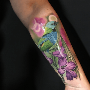 A super cute #tanager tattoo. #tattoo #tattoos #ink #inked #inkedup #tattooartist #tattooideas #tattooidea #amazingtattoo #amazingtattoos #crazytattoos #besttattoos #inkedgirls #amazingart #rose #rosetattoo #rosetattoos #floraltattoos #flowertattoo #edmontontattoo #yegtattoo #tatuagem #tatuaje #tattoodoambassador #tattoooftheday #birdtattoo #flowertattoo #tanagerbird #tropicalbird #tropical #tropicaltattoo #realism #realismtattoo #watercolour #painterly 