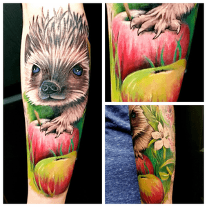Hedgehog tattoo #tattoo #cutetattoo #hedgehog #hedgehogtattoo #apple #appletattoo #colourtattoo #fusion #fusionink #tattooing #customink #cambridge 