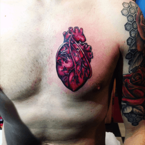 #heart #chest 