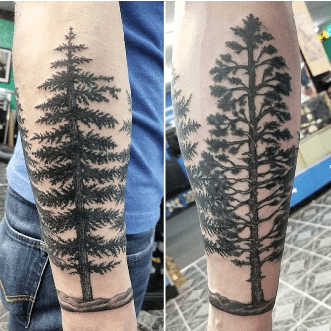 Black Ink Pine Tree Tattoo On Arm