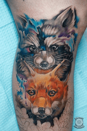 Work in progress... Custom #watercolor #fox #raccoon tattoo by Sean Ambrose at Arrows and Embers Custom Tattoo. Thanks for looking! #tattoooftheday 