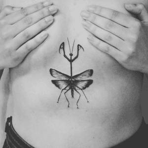  #woman #TattooGirl #atuagem #tattoo #tattoos #blackandgreytattoo #blackwork #ink #inkedgirl #planeta #planetstattoo #ginger #blackworktattoo #inseto #insecta  #science #louvadeus #insecttattoo #insect #insects 