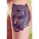 #tigre #tigretattoo #tattoo 
