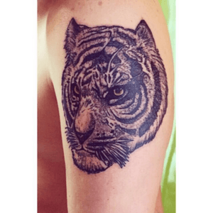 #tigre #tigretattoo #tattoo 