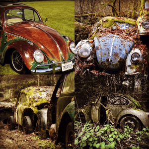 This is the idea behind the tattoo I want soo badly. An abandoned broken vw bettle in over grown wooded area. There isnt a tattoo i could find like this luckily. The meaning for it is "one sees something of no use broken or trash as another can see the beauty and potential" #amijames #dreamtattoo #VWLOVE