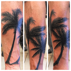 Some palm trees my homeboy jamie did on me today
