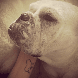 Tattoo english bulldog #tattoo #english #bulldog 