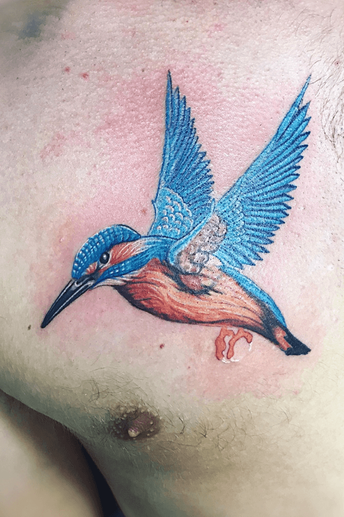 Om Shankar Tattoo Studio  Best tattoo studio in goa om shankar tattoo  studio  Kingfisher bird colourful on Armson girl For more info  visit us at httpomshankartattoocomBesttattoostudioingoaomshankar tattoostudioKingfisherbird 