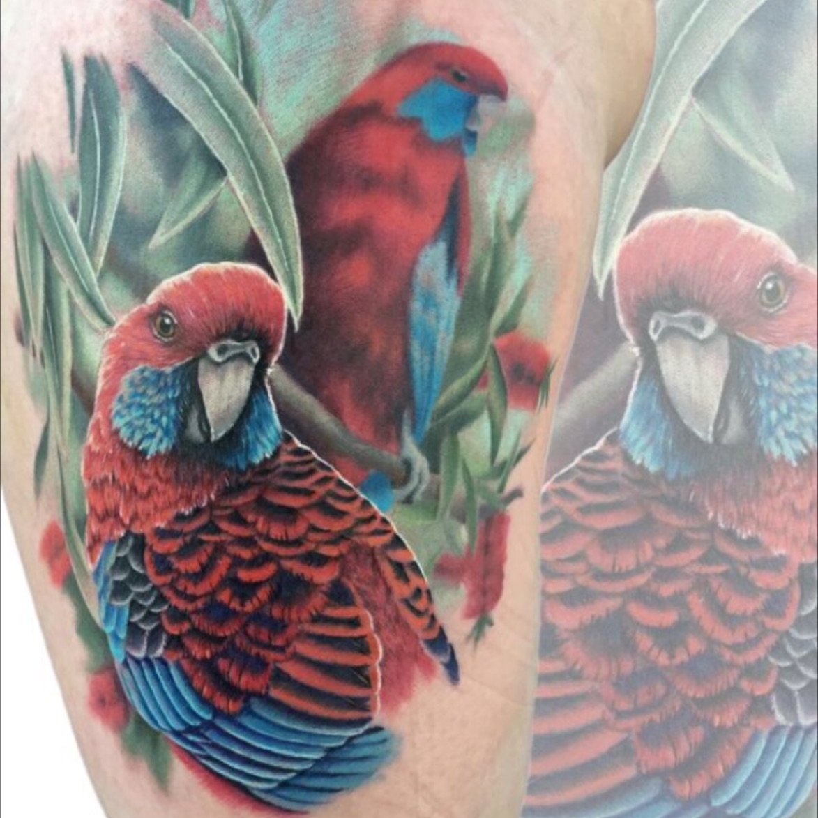 Explore the 50 Best bird Tattoo Ideas (2017) • Tattoodo