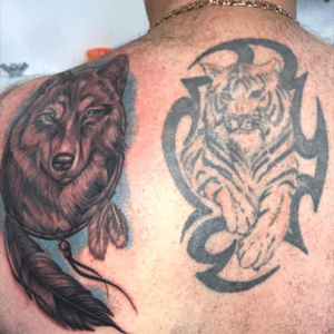 The wolf is my latest, it has now healed. The Tiger is now 16 years old and om still happy with it. My next one is this friday and its a snow leapord, looking forward to getting this done.