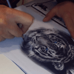 Drawing a tiger #realisticdrawing 