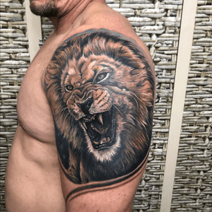 Tattoo lion by Rafael Amaro kako. 