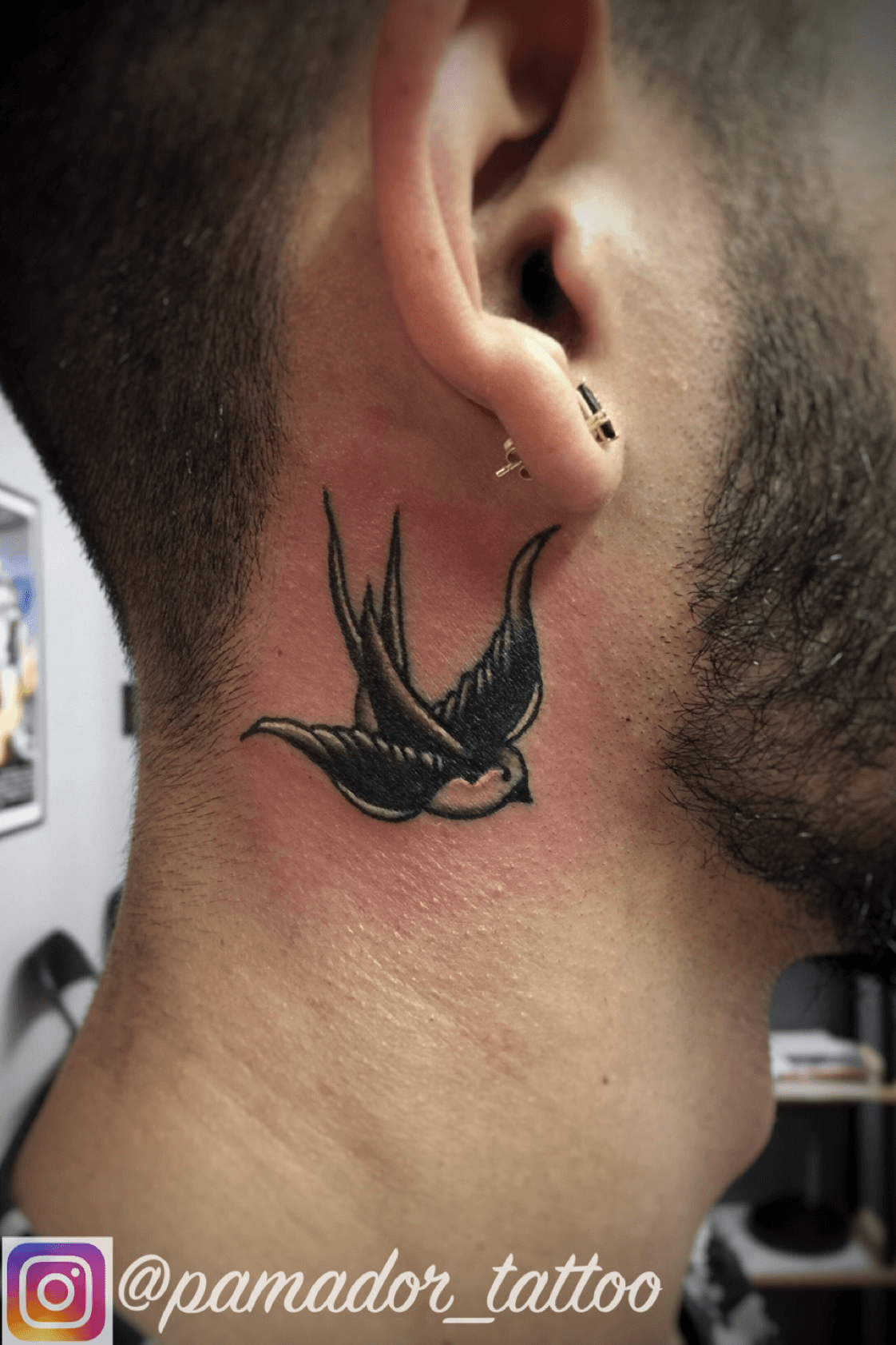 Mama Tried  Tattoo Smith  A lovely Swallow tattoo done by  colleenajsmith Love the colours and the placement on the neck  American Traditional Swallow My first neck tattoo  Swallows  were