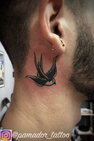 Black traditional swallow behind the ear tattooed by Pedro Amador #traditional #traditionaltattoo #swallow #blacktraditional #necktattoo