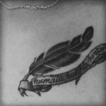 #feather by Borneo Ink (malaysia)
