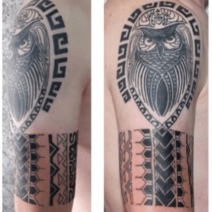 #new #2016 #owl #maoristyle #evolution 