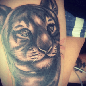 Tiger cub portrait 