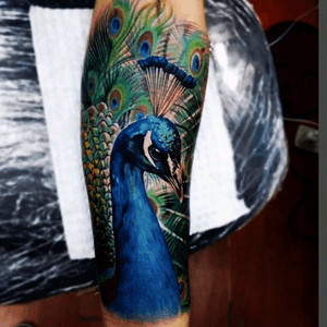 #Bolo #peacock #halfsleeve #animal #bird 