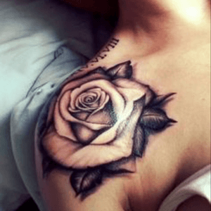 Rose tattoo #rose 