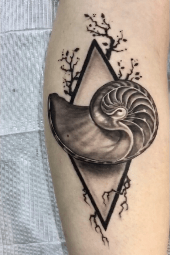 Tattoo uploaded by dana jones  Nautilus shelloceanbotanicalgeometric   Tattoodo
