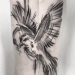 #bird in #black #sketchstyle - #tattoo by #artist #tattooerLamad @tattooer_lamad from #victimsofport #melbourne #Australia 