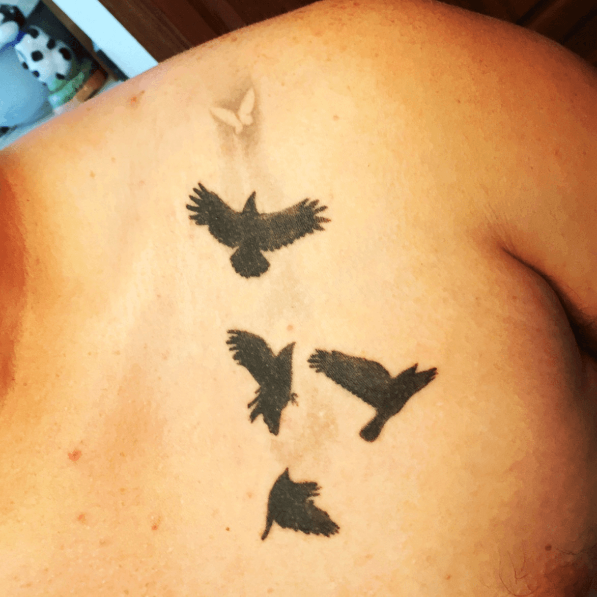 Tattoo uploaded by Matthew Richey  Custom dead Raven bird with butterfly  shoulder blade piece raventattoo bird deadbird butterflytattoo  realism colorrealism  Tattoodo