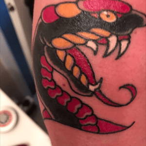 #traditional #Snake tattoo  from the ottawa tattoo expo 2016 by stupid dumb cunt tattoo from wetidsville tattoo emporium
