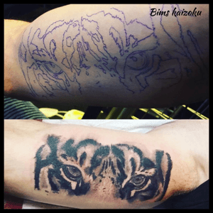 #bims #bimstattoo #bimskaizoku #tatouage #tatouages #paris #paristattoo #paname #tigre #tiger #regard #ink #inked #inkedboy #tatt #tattoo #tatted #tattoed #tätt #tattoos #tattooflash #tattoostyle #tattooboy #tattoolover #tattoodo #tattooartist #tattooedlife #tattooer #tattoowork 