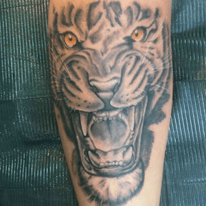 #tiger #tattoo #art #blackandgrey #tigertatt #tattooart 