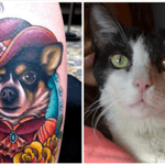 I would really love a tattoo like this made by Megan but with the design of my cat who passed away for a terrible disease... I wanted to have his design before he died but he couldn't come with me and I want to honor him for all the lessons that he showed me during our life together... #megandreamtattoo #lovecats #inhonorof 
