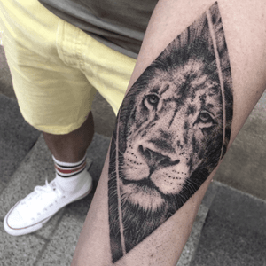 #orsimolnar#tattoo #budapesttattoo#lion #liontattoo#dotwork #dotworktattoo 