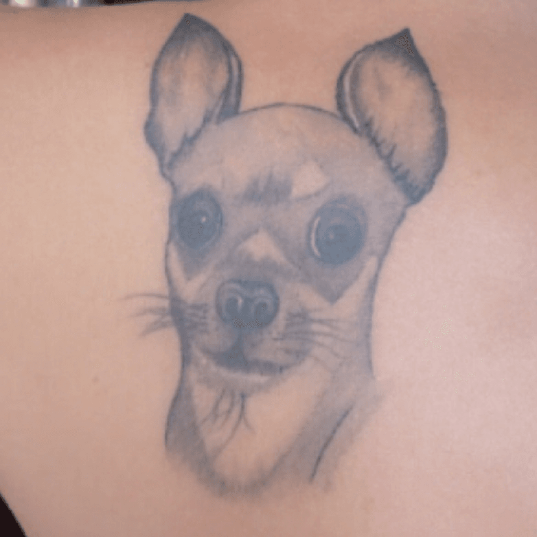 14 Of The Best Chihuahua Tattoo Ideas Ever  PetPress