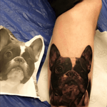 #portrait#dog#tattoo#blackandgrey #blackandgreytattoo #cemvikink #fredericia #denmark#vikinktattoo 