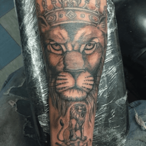 My first tattoo, start of my sleeve #tattoo #sleeve #lion #like4follow 