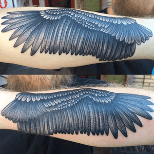 Condor wings 