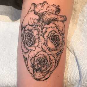 Rad anatomical rose heart 