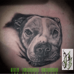 #ink #inked #inkbybuster #inkbustertattoo #tattoo #colortattoo #inklife #tattooart #customtattoo #tattooartist #tattooer #longisland #realism #fantasy #art #originalartwork #art #inkstagram #tattoostyle #tattoos #tatted #sketchtoskin #expensiveskin #artislife #inkedmag #tattooartistsmag