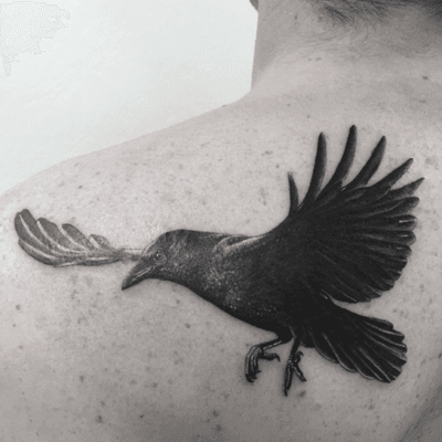 Top 250 Best Raven Tattoos (2022) • Tattoodo